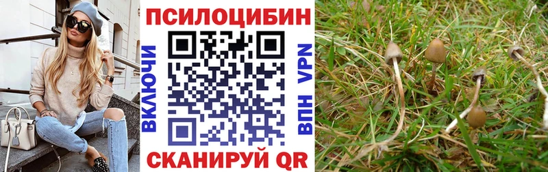 Галлюциногенные грибы MAGIC MUSHROOMS  Невель 